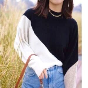 NWT. Petite Studio Colorblock Crewneck Relaxed Fit Wool Sweater. Size Medium